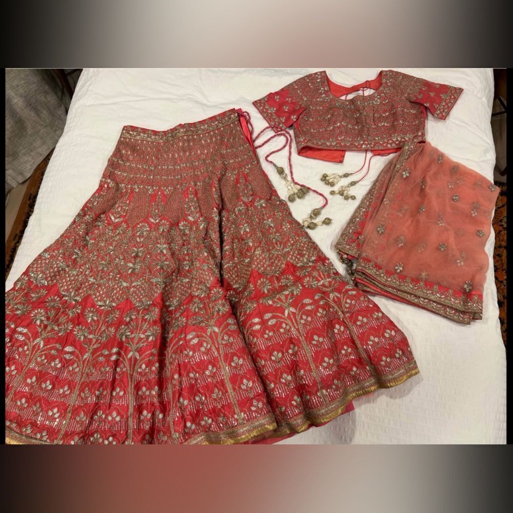 Indian /Pakistani/ Nepali bridal lehenga wedding dress - Picture 3 of 14